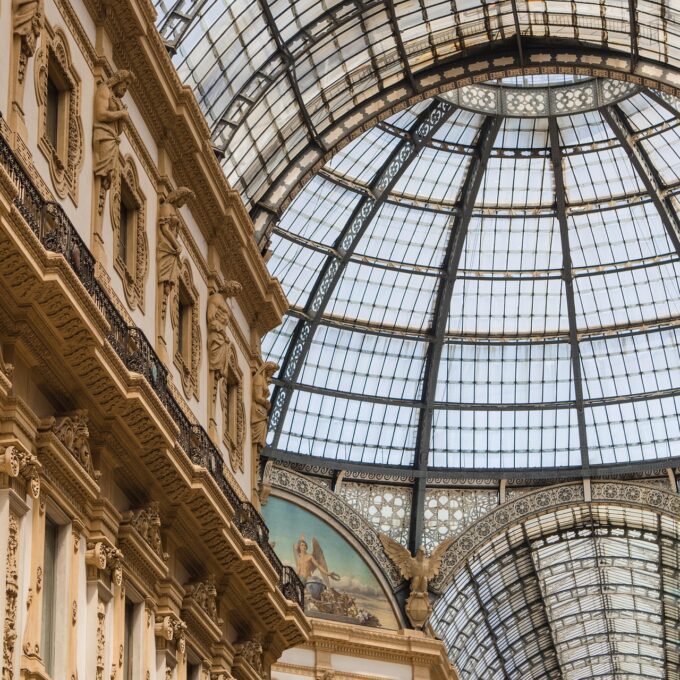 squirrel_photos-milan-7340984_1920 squirrel_photos-milan-7340984_1920